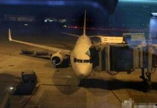 飞机内部爆料视频下载,爆料视频带你领略航空之旅的神秘面纱  第3张